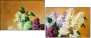 24155695