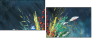 24170906