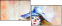 24495257