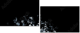 24792295