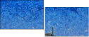 252232396