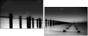 25660974