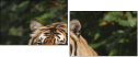 26122223
