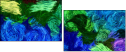 262127014