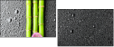 26606581