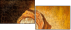 26905100