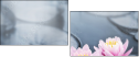 27192905