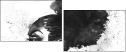 279359235