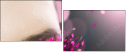 28365450