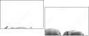 29095081