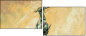 29134258