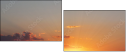 29303543