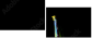 29381007