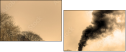 29517510