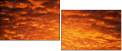 29892519