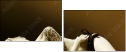 29966213