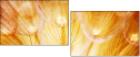 30258126