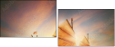 30473389
