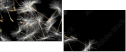30521892