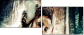 30785546