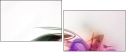 31276128