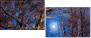 31860208