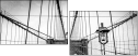 319353344