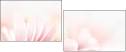 32108465