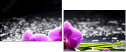 32250117