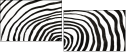 324703304