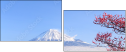 32966670