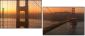 33120636