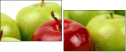 3313699