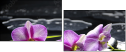 34084516
