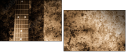 34169429