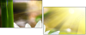 34213537