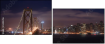 3442216