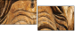 35042971