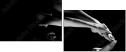 35216204