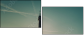 35687420