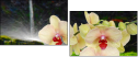 35693126