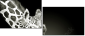 38098957