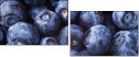 38114663