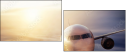 38341685