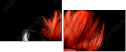 38661910