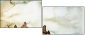 38847914