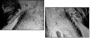 39012933