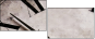 3950638