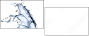 39793377