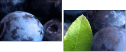 4030305
